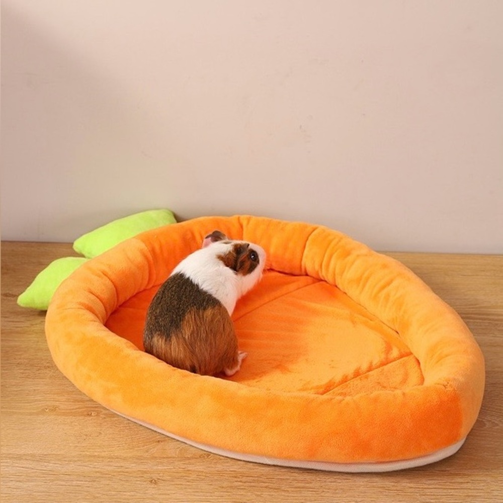 Carrot-Shaped Small Pet Mat